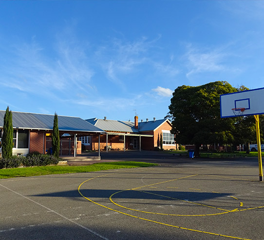 Elliminyt Primary School Grounds